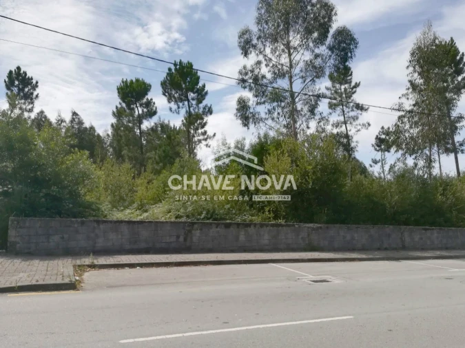 Terreno P/ Prédio para Venda em São João de Ver Foto 2