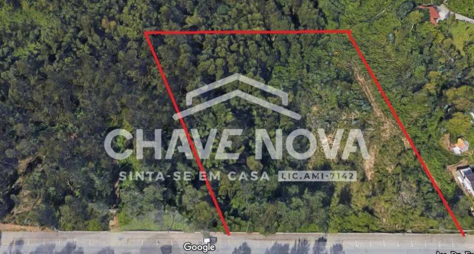 Terreno P/ Prédio para Venda em São João de Ver Foto 6