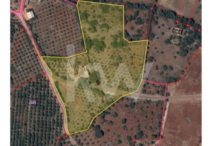 Quinta T5 para Venda em São Bartolomeu de Messines Foto 34