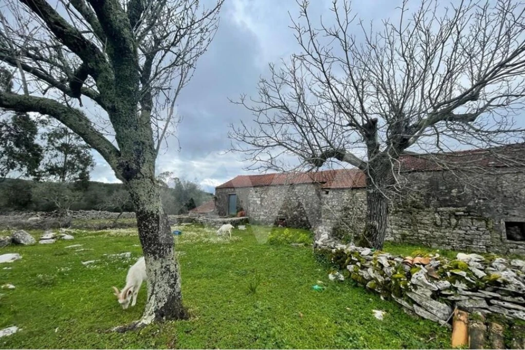 Moradia T2 para Venda em Degracias e Pombalinho Foto 19