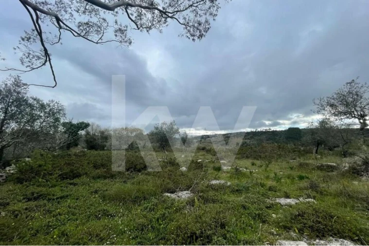 Moradia T2 para Venda em Degracias e Pombalinho Foto 17