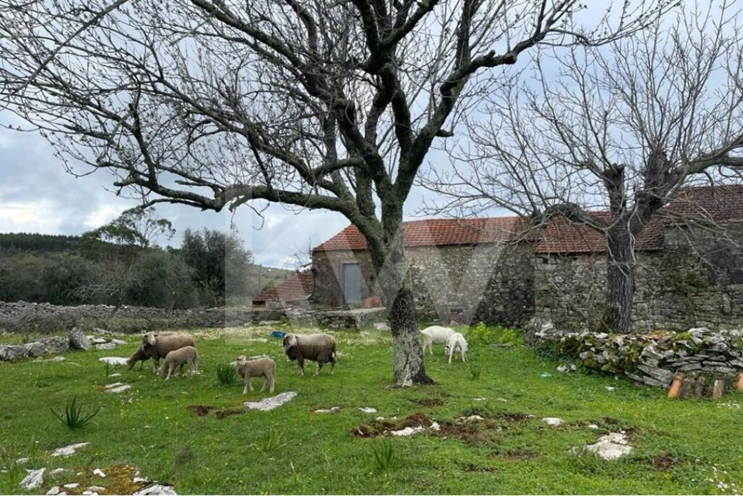 Moradia T2 para Venda em Degracias e Pombalinho Foto 18
