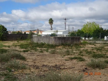 Terreno para Venda em Vale de Santarem