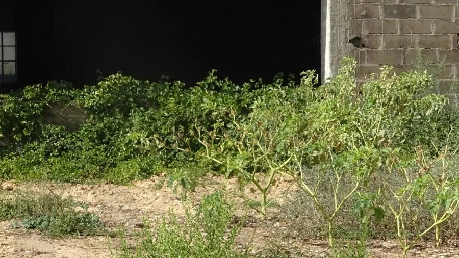 Terreno para Venda em Vale de Santarem