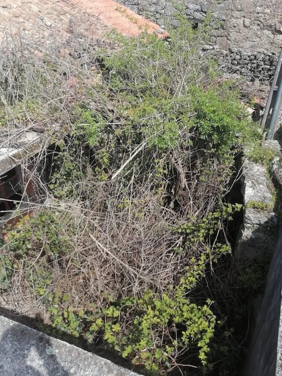 Moradia T1 para Venda em Guarda Foto 8