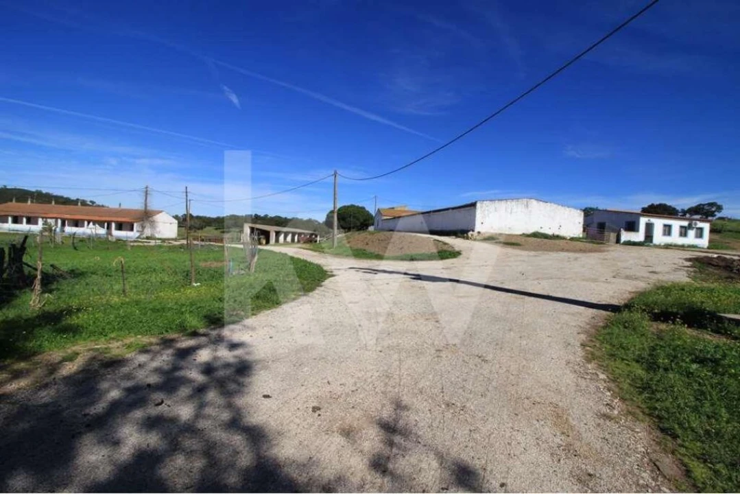 Quinta T8 para Venda em São Bartolomeu de Messines Foto 13