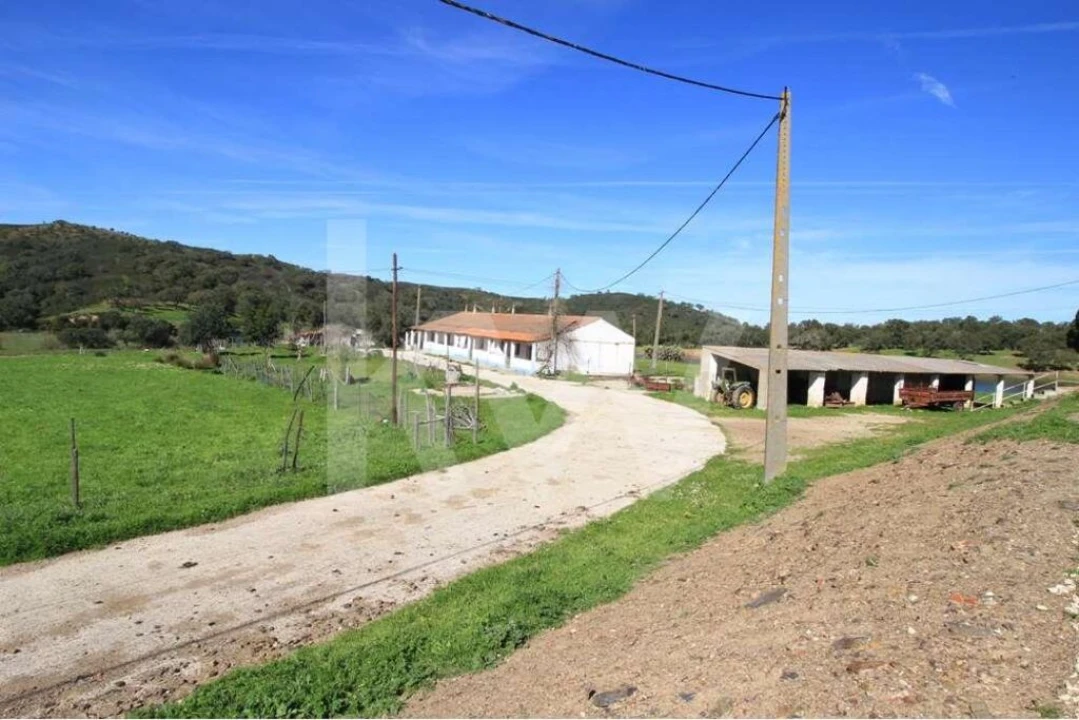 Quinta T8 para Venda em São Bartolomeu de Messines Foto 16