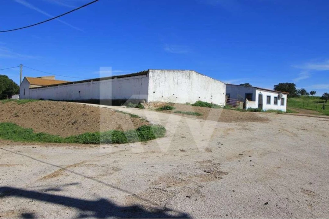 Quinta T8 para Venda em São Bartolomeu de Messines Foto 10