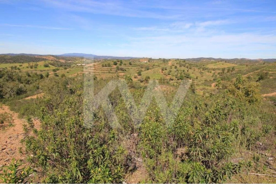 Quinta T8 para Venda em São Bartolomeu de Messines Foto 27
