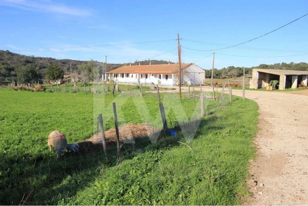 Quinta T8 para Venda em São Bartolomeu de Messines Foto 12