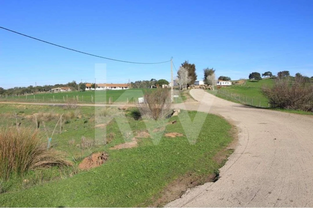 Quinta T8 para Venda em São Bartolomeu de Messines Foto 17