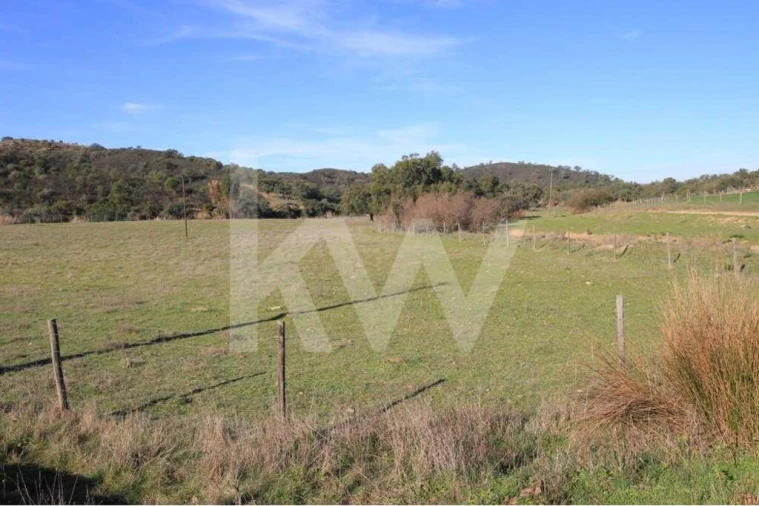 Quinta T8 para Venda em São Bartolomeu de Messines Foto 25