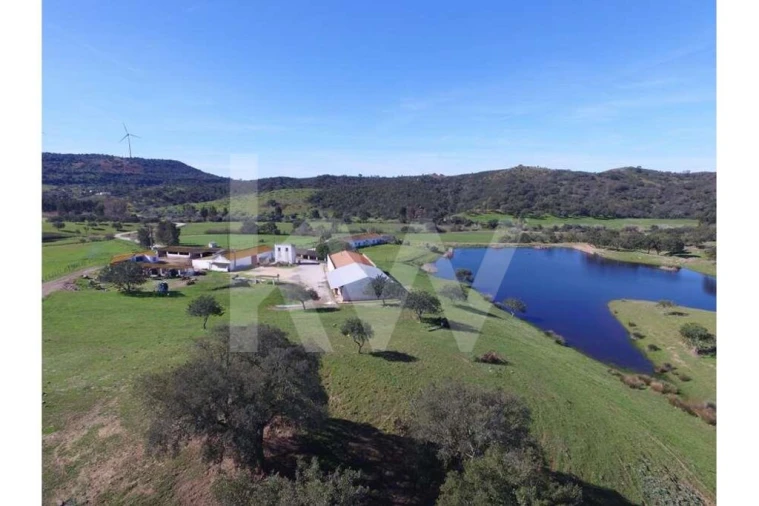 Quinta T8 para Venda em São Bartolomeu de Messines Foto 5