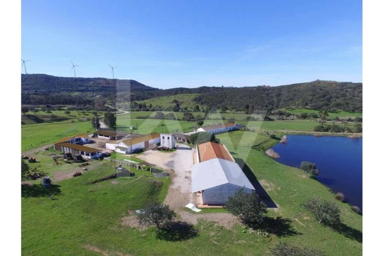 Quinta T8 para Venda em São Bartolomeu de Messines