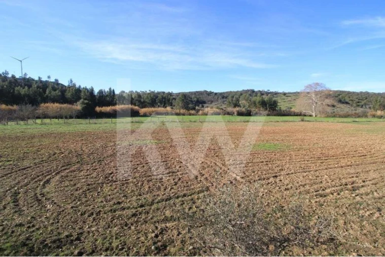 Quinta T8 para Venda em São Bartolomeu de Messines Foto 21