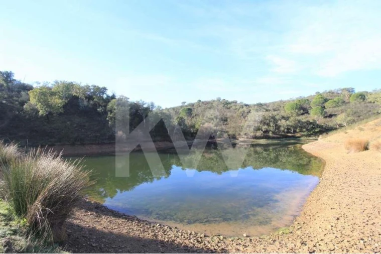 Quinta T8 para Venda em São Bartolomeu de Messines Foto 6