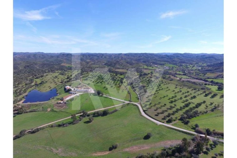 Quinta T8 para Venda em São Bartolomeu de Messines Foto 2