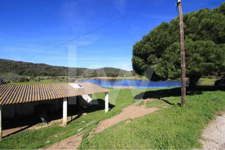 Quinta T8 para Venda em São Bartolomeu de Messines Foto 4