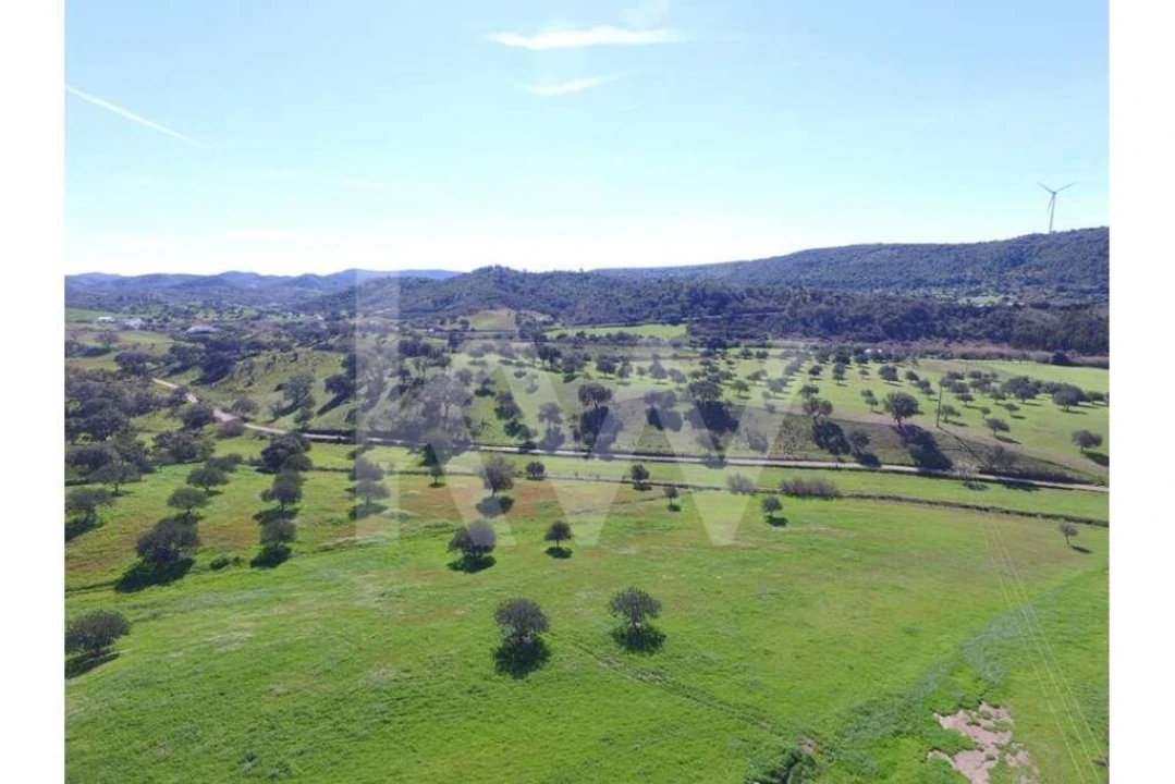 Quinta T8 para Venda em São Bartolomeu de Messines Foto 20