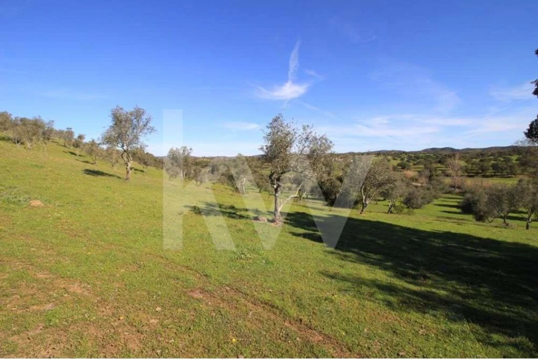 Quinta T8 para Venda em São Bartolomeu de Messines Foto 26