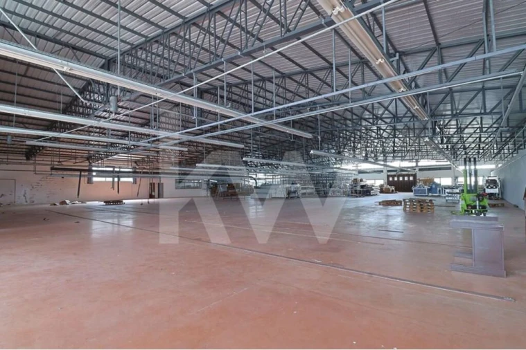 Prédio para Venda em São Mamede Foto 19