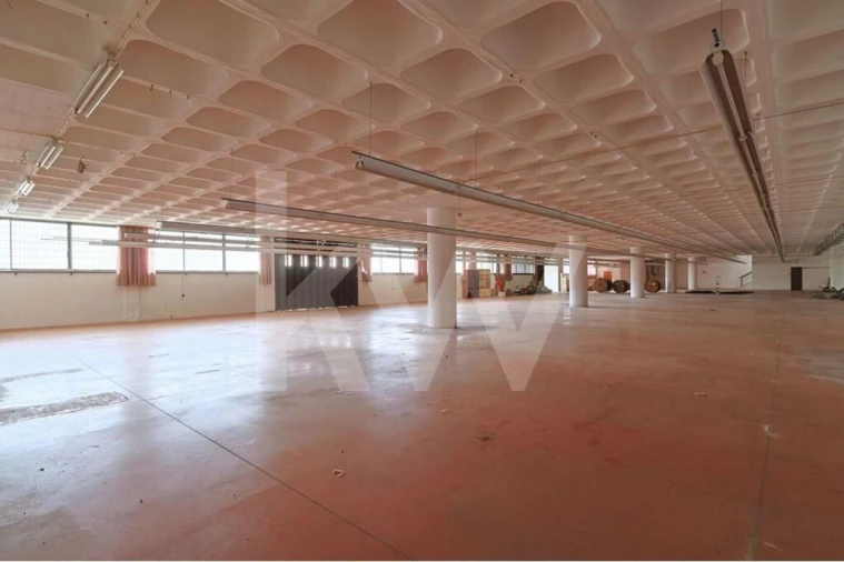 Prédio para Venda em São Mamede Foto 23