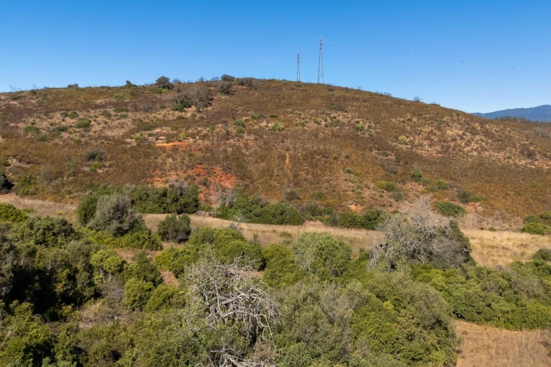 Terreno para Venda em Mexilhoeira Grande Foto 6