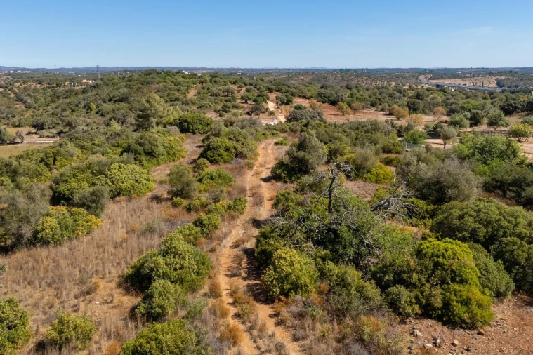 Terreno para Venda em Mexilhoeira Grande Foto 7
