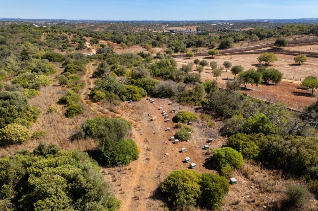 Terreno para Venda em Mexilhoeira Grande Foto 8