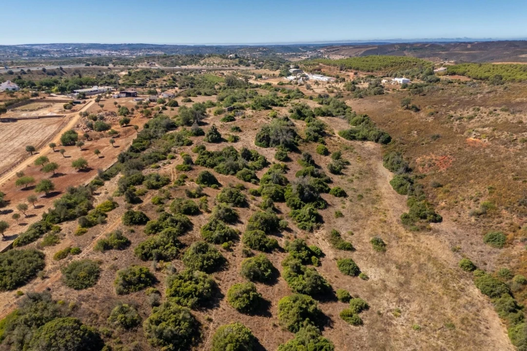 Terreno para Venda em Mexilhoeira Grande Foto 10