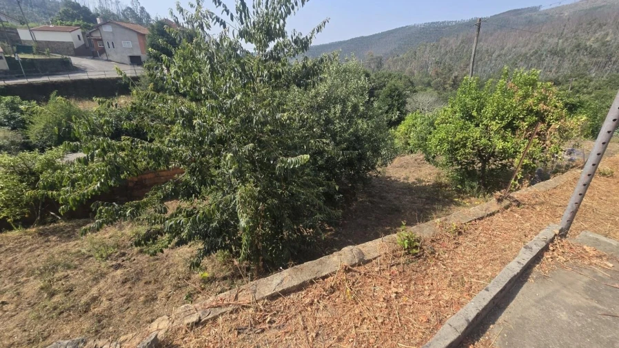 Moradia T2 para Venda em Silva Escura e Dornelas Foto 13