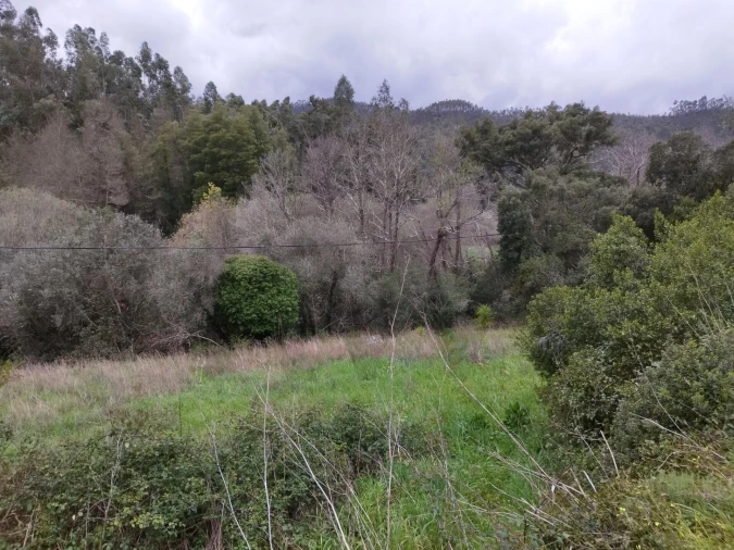 Quinta para Venda em Monchique Foto 7