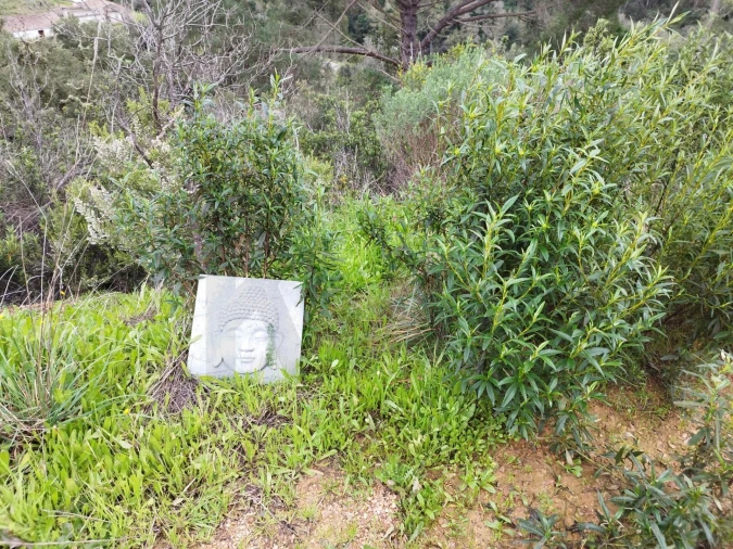 Quinta para Venda em Monchique Foto 11