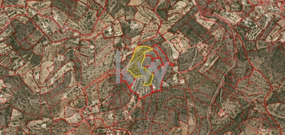 Terreno para Venda em Conceição e Estoi
