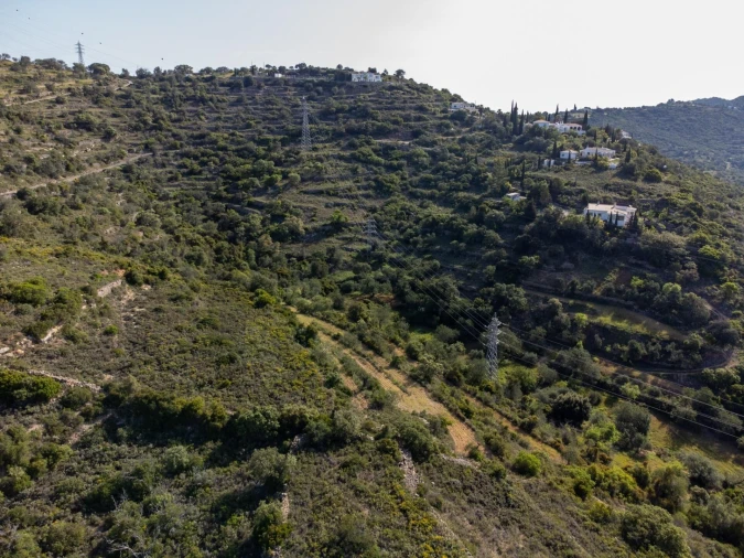 Terreno para Venda em Conceição e Estoi Foto 12