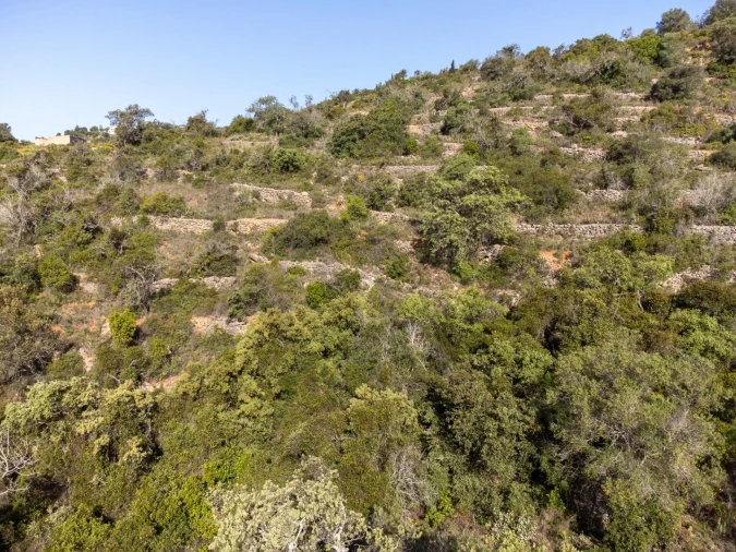 Terreno para Venda em Conceição e Estoi Foto 17