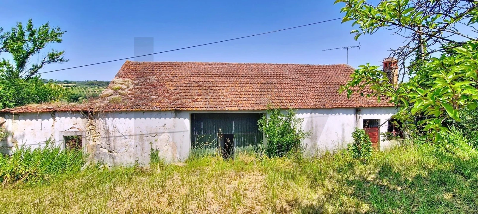 Moradia T3 para Venda em Madalena e Beselga Foto 1