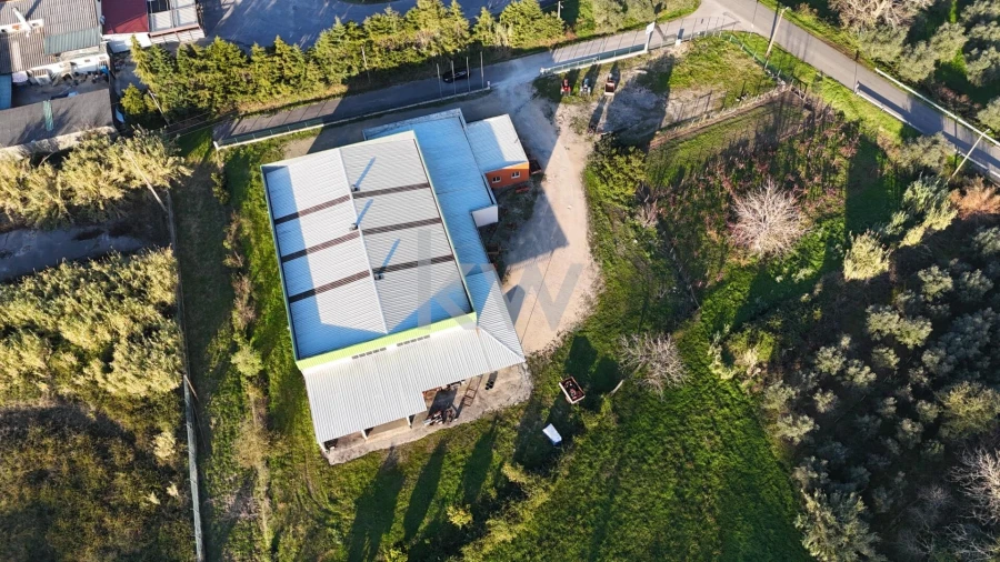 Armazém para Venda em Cantanhede e Pocariça Foto 9