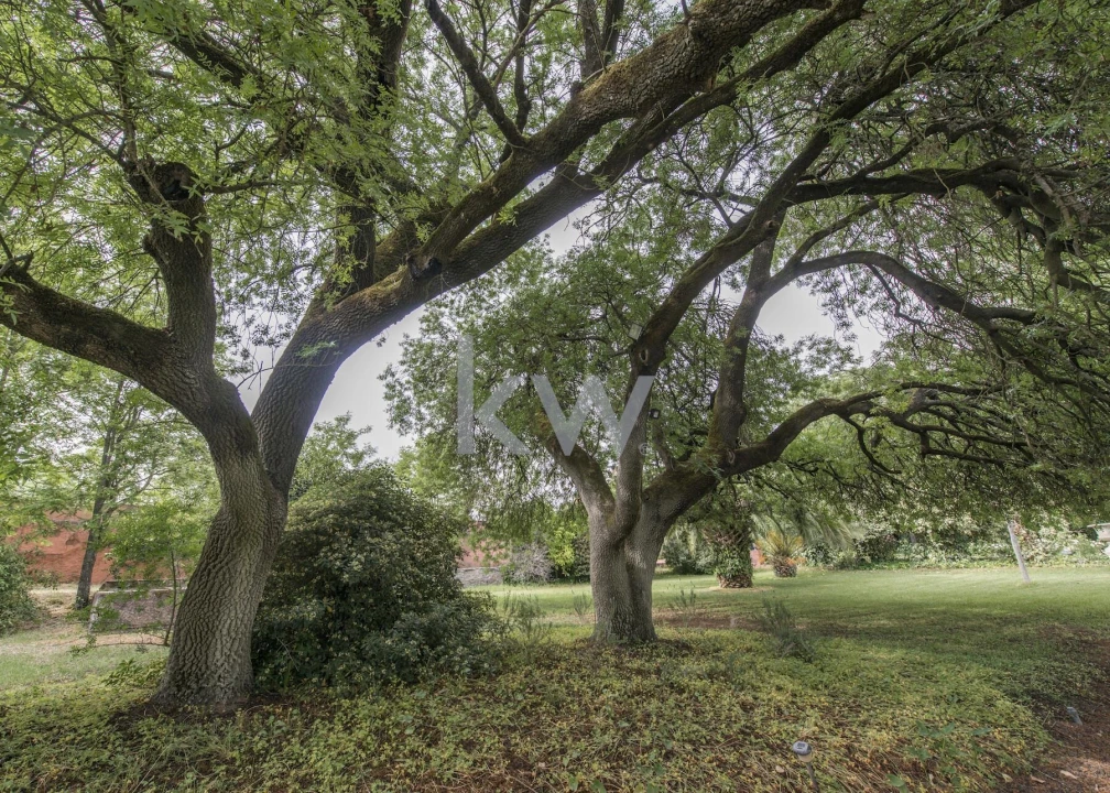 Quinta T8 para Venda em Assunção, Ajuda, Salvador e Santo Ildefonso Foto 44