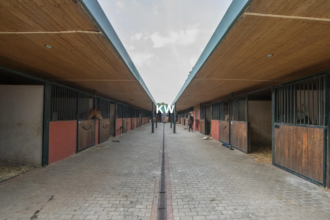 Quinta T8 para Venda em Assunção, Ajuda, Salvador e Santo Ildefonso Foto 51