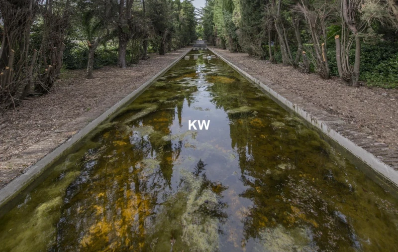 Quinta T8 para Venda em Assunção, Ajuda, Salvador e Santo Ildefonso Foto 8