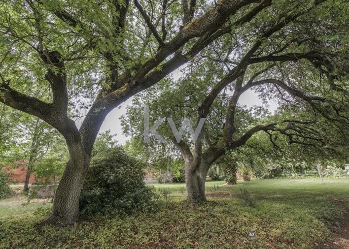 Quinta T8 para Venda em Assunção, Ajuda, Salvador e Santo Ildefonso Foto 44