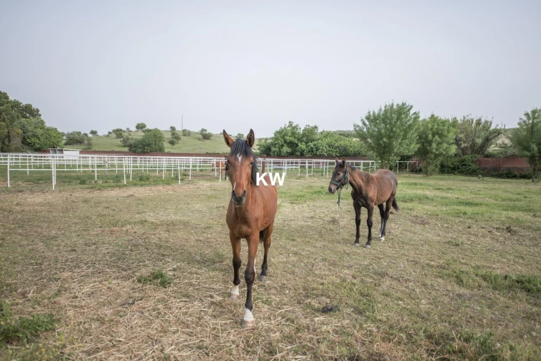 Quinta T8 para Venda em Assunção, Ajuda, Salvador e Santo Ildefonso Foto 52