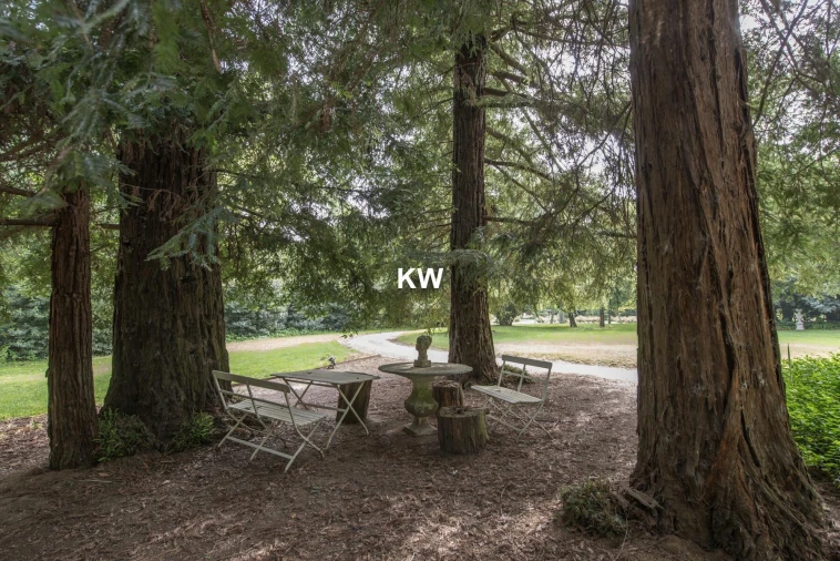 Quinta T8 para Venda em Assunção, Ajuda, Salvador e Santo Ildefonso Foto 12