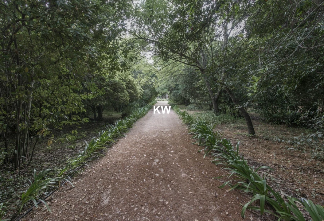 Quinta T8 para Venda em Assunção, Ajuda, Salvador e Santo Ildefonso Foto 13