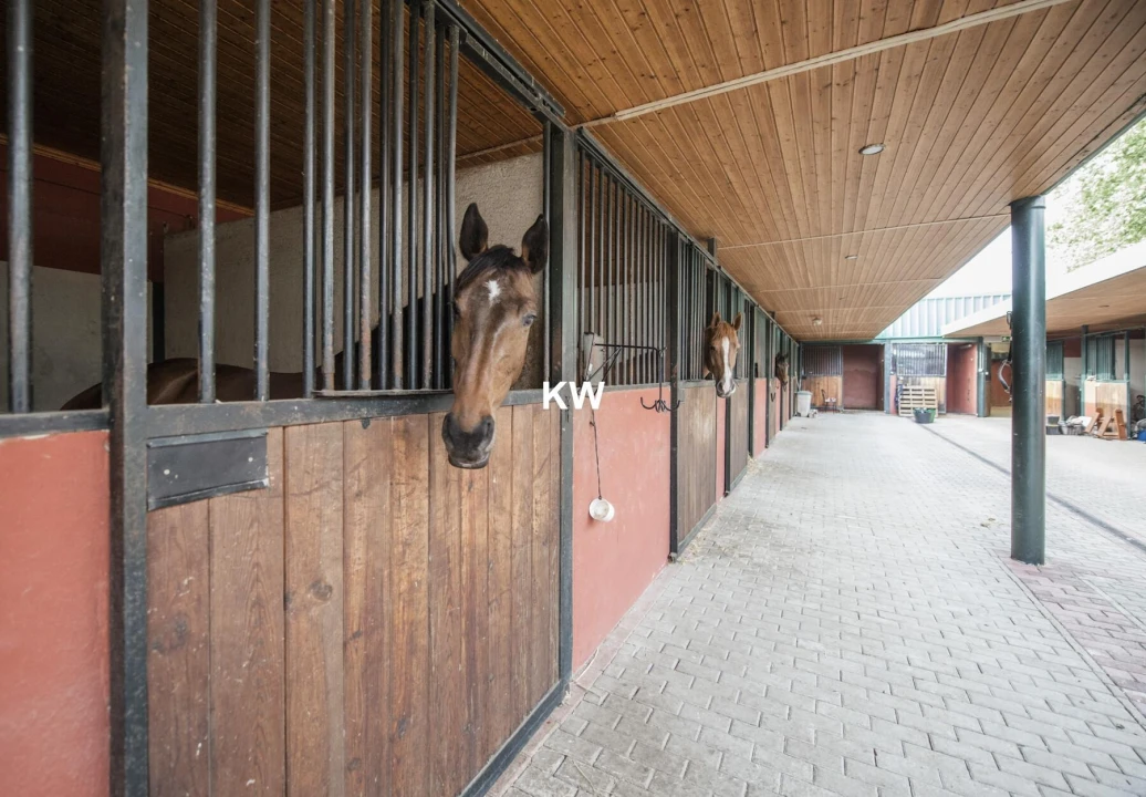 Quinta T8 para Venda em Assunção, Ajuda, Salvador e Santo Ildefonso Foto 50