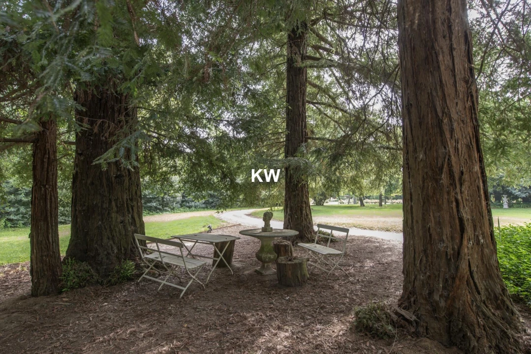 Quinta T8 para Venda em Assunção, Ajuda, Salvador e Santo Ildefonso Foto 12