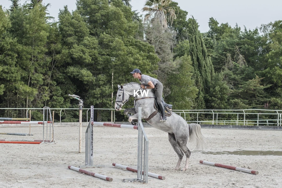 Quinta T8 para Venda em Assunção, Ajuda, Salvador e Santo Ildefonso Foto 53