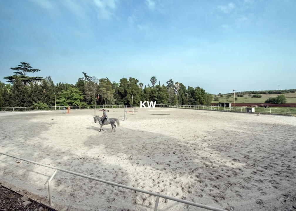 Quinta T8 para Venda em Assunção, Ajuda, Salvador e Santo Ildefonso Foto 49