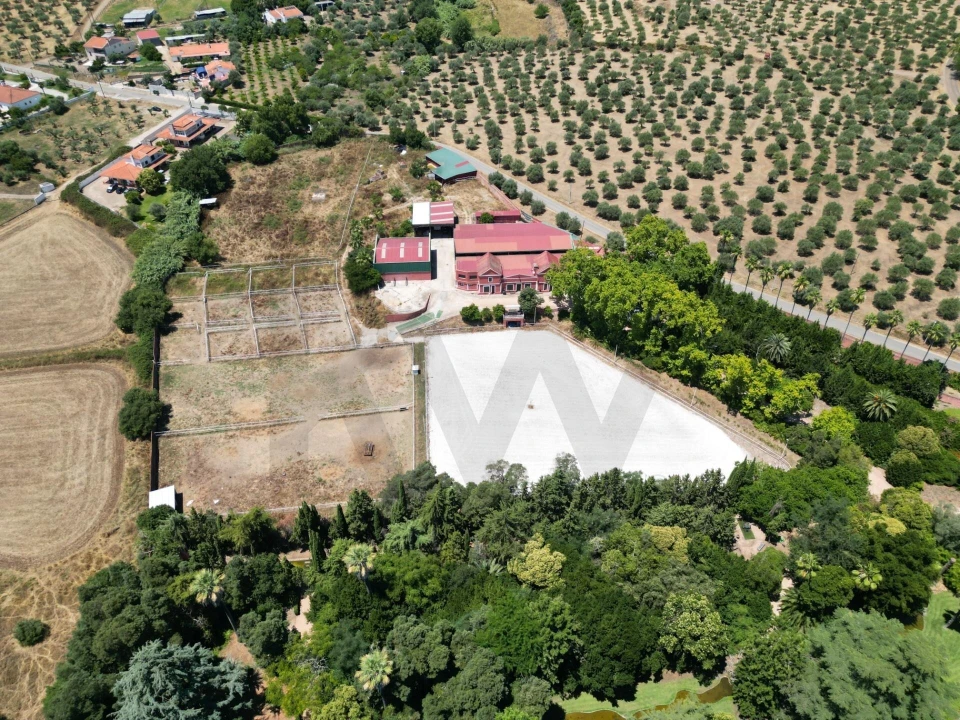 Quinta T8 para Venda em Assunção, Ajuda, Salvador e Santo Ildefonso Foto 58